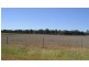 1007 Davys Plain Road, Cudal NSW 2864