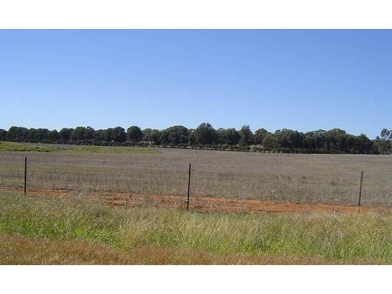 1007 Davys Plain Road, Cudal NSW 2864
