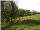 211 Barry Road, Barry NSW 2799
