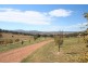 4150 Cargo Road, Orange NSW 2800