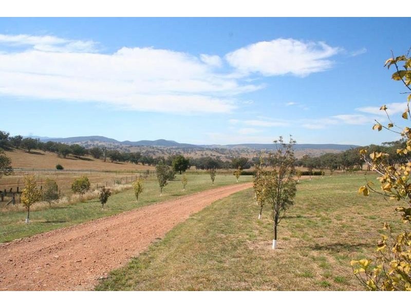 4150 Cargo Road, Orange NSW 2800