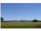 Spring Hill NSW 2800