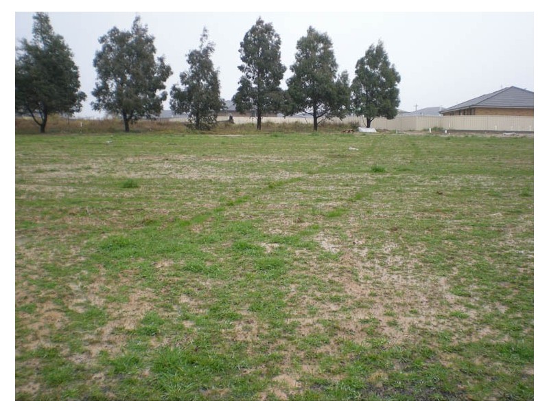 Lot 545 Emerald Street, Orange NSW 2800
