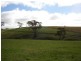 1572 Carcoar Road, Carcoar NSW 2791
