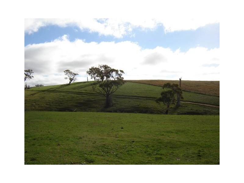 1572 Carcoar Road, Carcoar NSW 2791