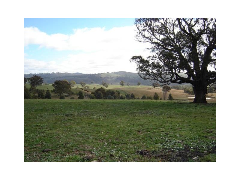 1572 Carcoar Road, Carcoar NSW 2791