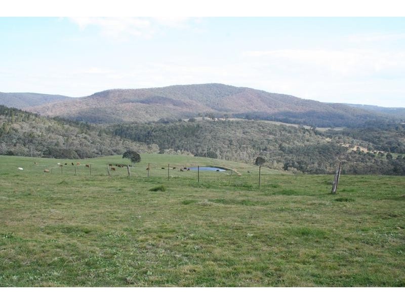 Ophir Road, Orange NSW 2800