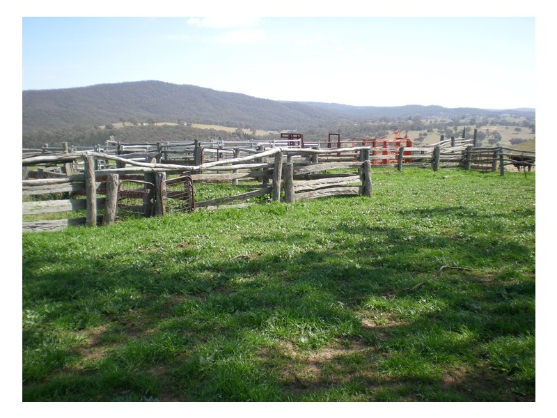 Ophir Road, Orange NSW 2800