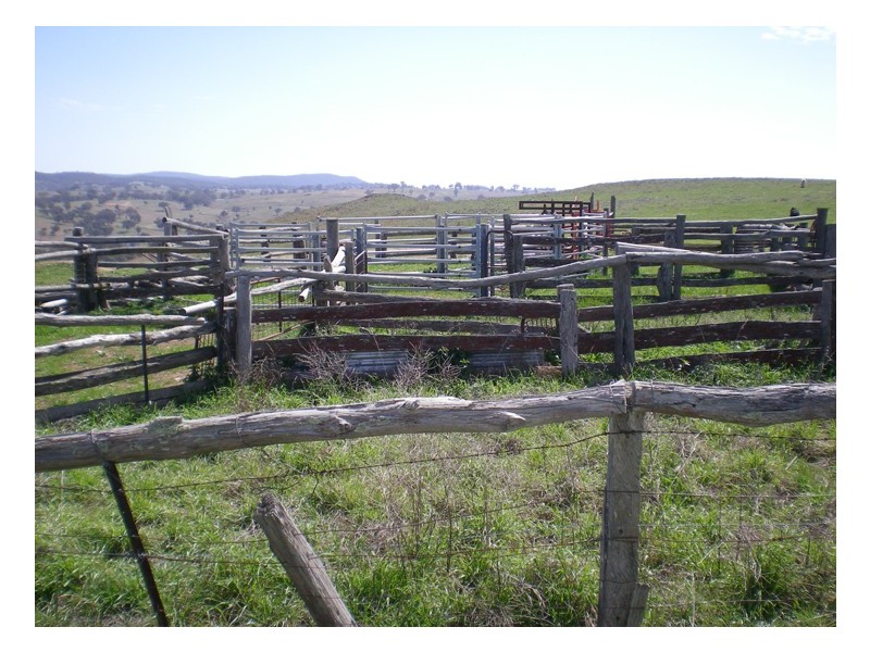 Ophir Road, Orange NSW 2800