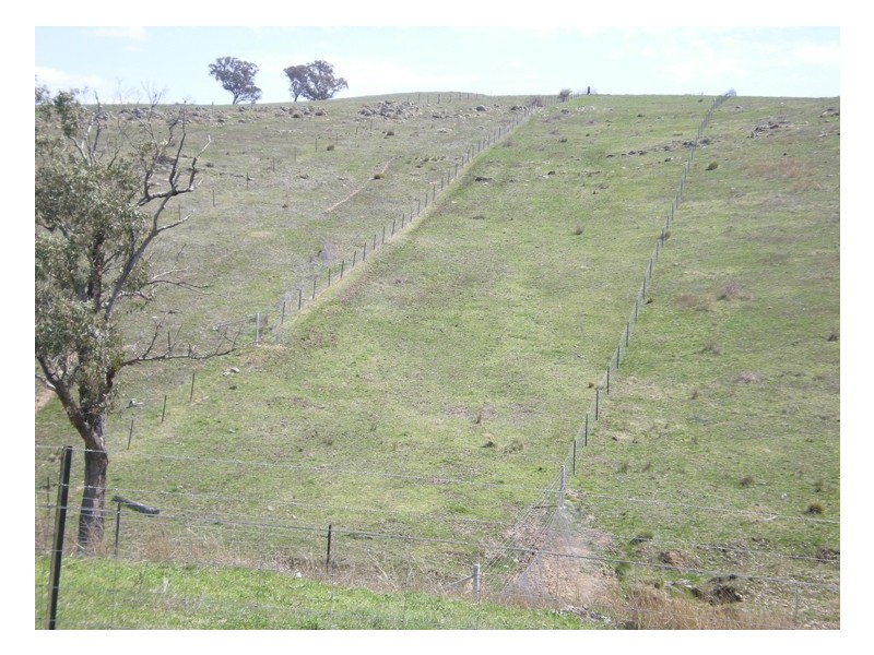 Ophir Road, Orange NSW 2800