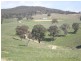 Ophir Road, Orange NSW 2800