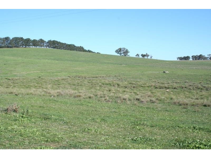 364 Nyes Gate Road, Millthorpe NSW 2798