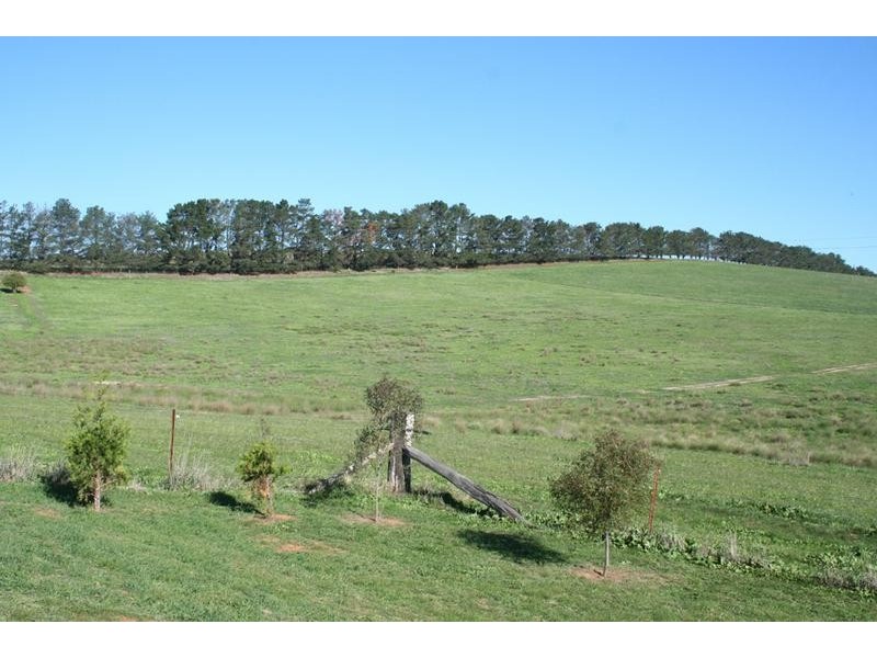 364 Nyes Gate Road, Millthorpe NSW 2798