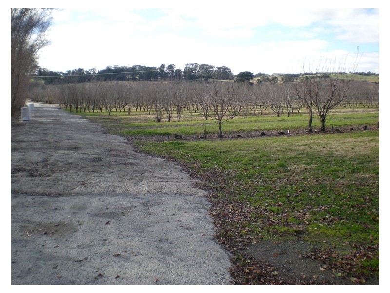 53 Shepherd Road, Orange NSW 2800