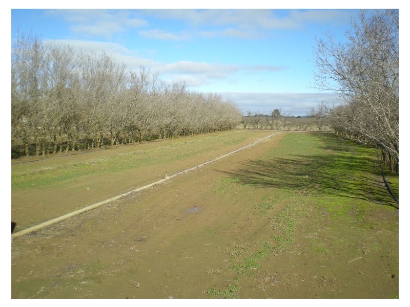 53 Shepherd Road, Orange NSW 2800