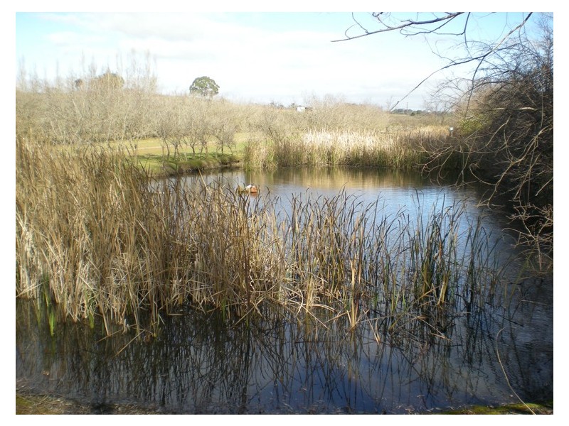 53 Shepherd Road, Orange NSW 2800