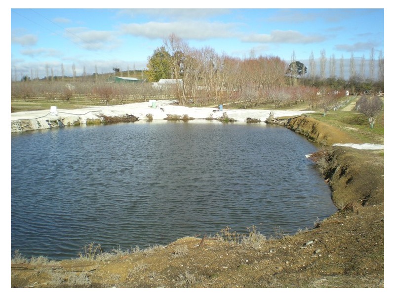 53 Shepherd Road, Orange NSW 2800