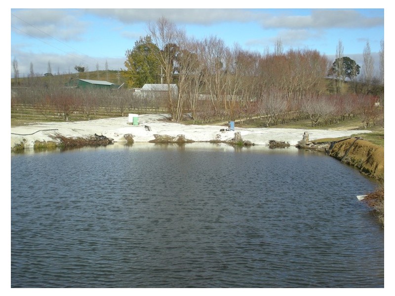 53 Shepherd Road, Orange NSW 2800