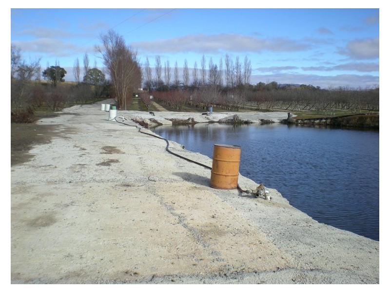 53 Shepherd Road, Orange NSW 2800