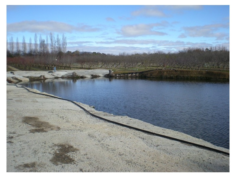 53 Shepherd Road, Orange NSW 2800