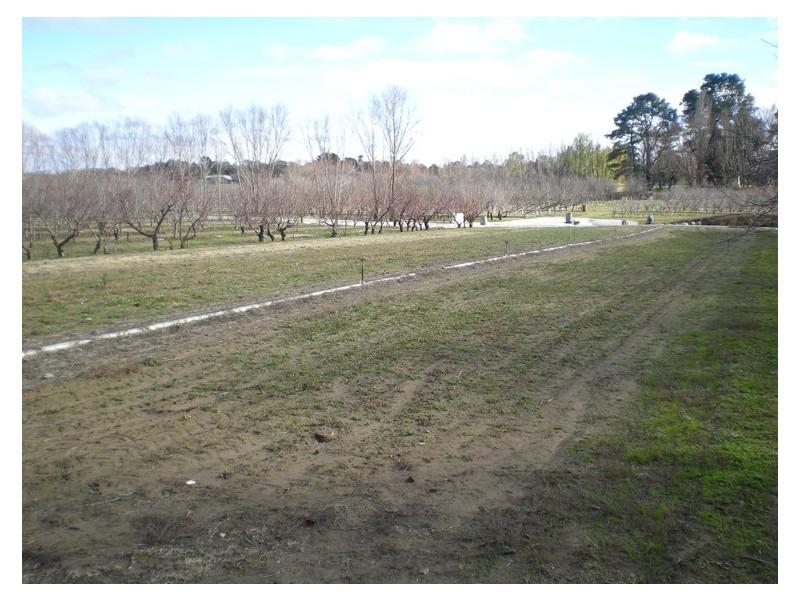 53 Shepherd Road, Orange NSW 2800