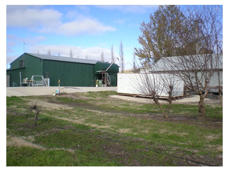 53 Shepherd Road, Orange NSW 2800