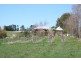 471 Canobolas Road, Orange NSW 2800
