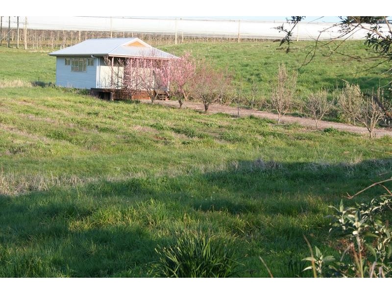 471 Canobolas Road, Orange NSW 2800