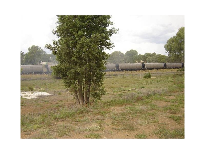 19 Orange Road, Manildra NSW 2865