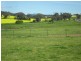 357 Amaroo Road, Molong NSW 2866