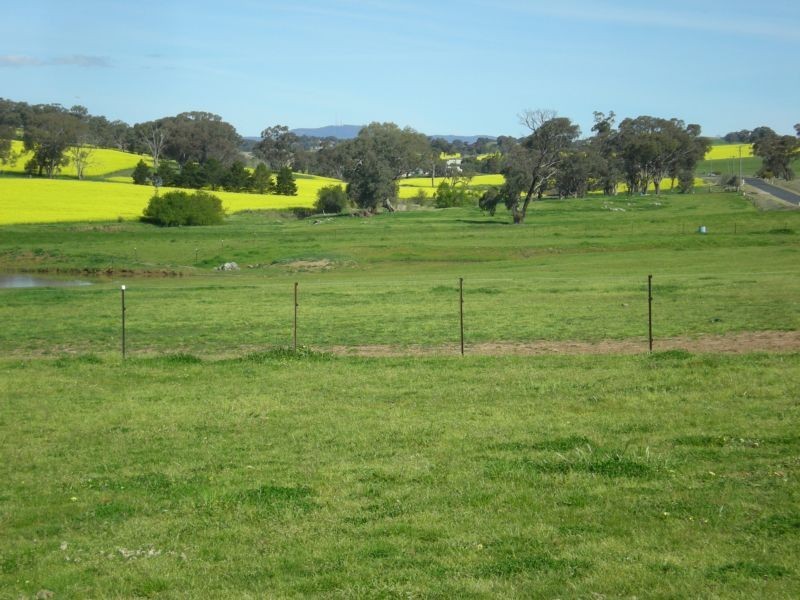 357 Amaroo Road, Molong NSW 2866