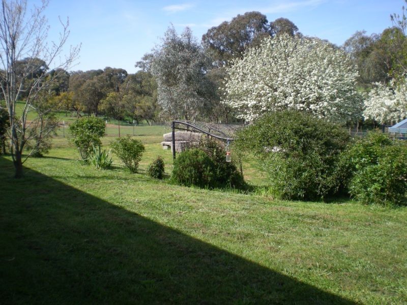 357 Amaroo Road, Molong NSW 2866