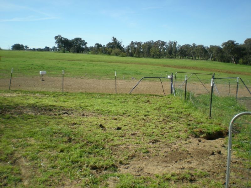 357 Amaroo Road, Molong NSW 2866