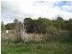 Lot 1 cnr reynolds and market street, Molong NSW 2866