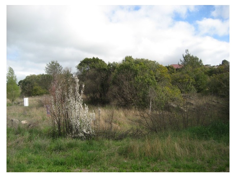 Lot 1 cnr reynolds and market street, Molong NSW 2866