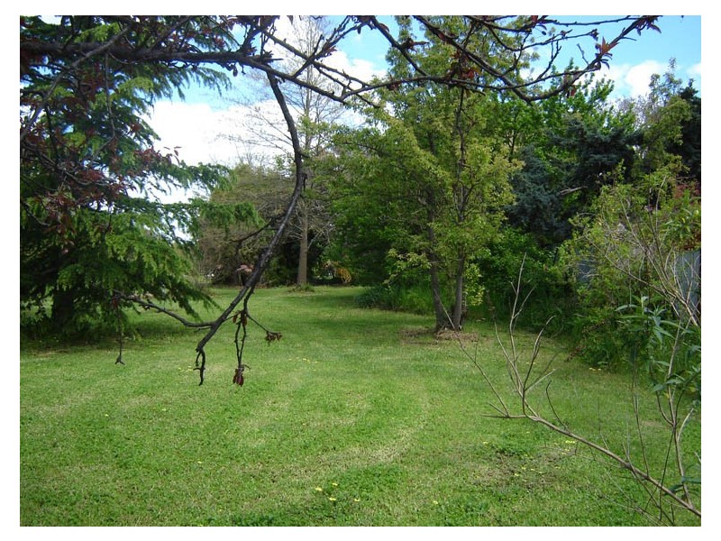 Lot 711, 24 Martha Street, Blayney NSW 2799