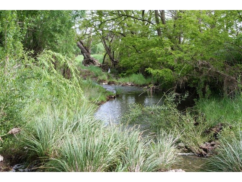 1190 Mitchell Highway, Orange NSW 2800