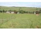 1190 Mitchell Highway, Orange NSW 2800