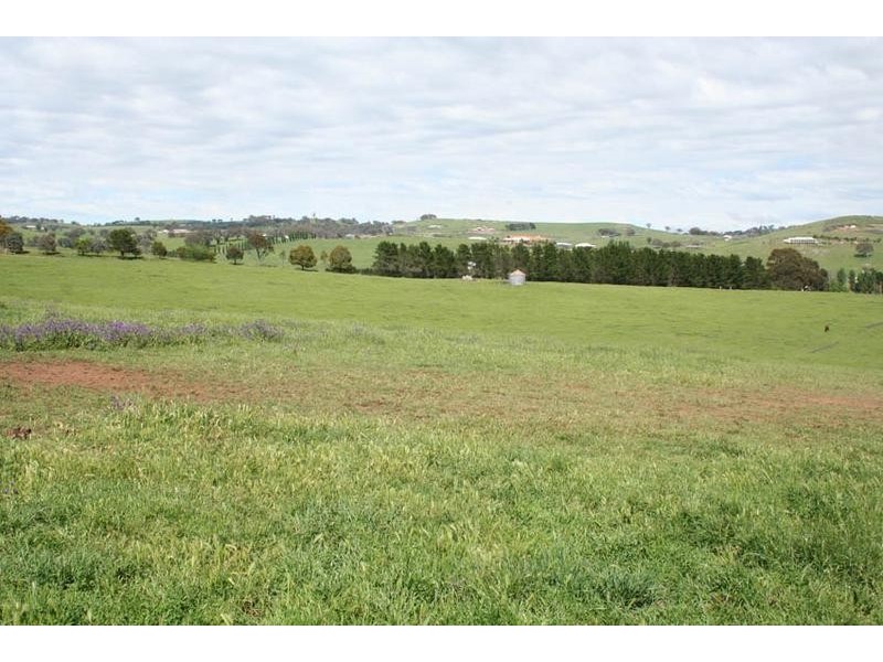 1190 Mitchell Highway, Orange NSW 2800