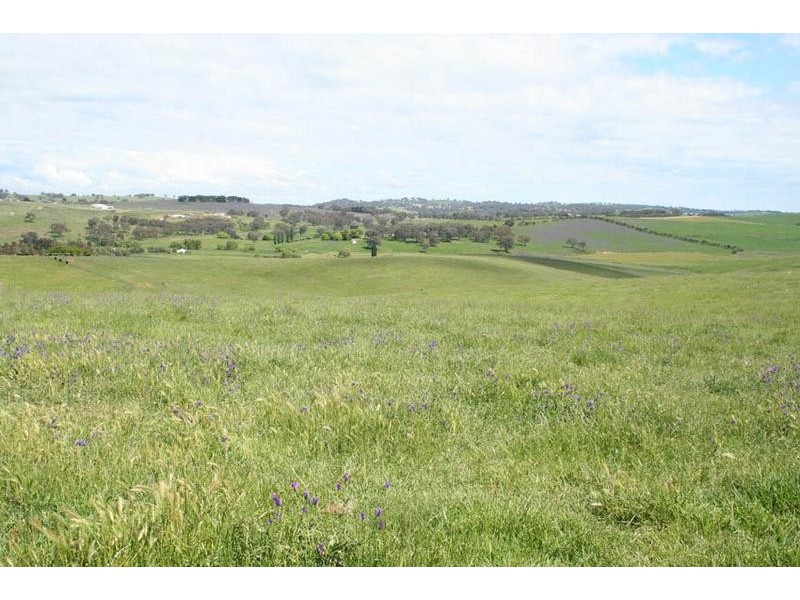 1190 Mitchell Highway, Orange NSW 2800