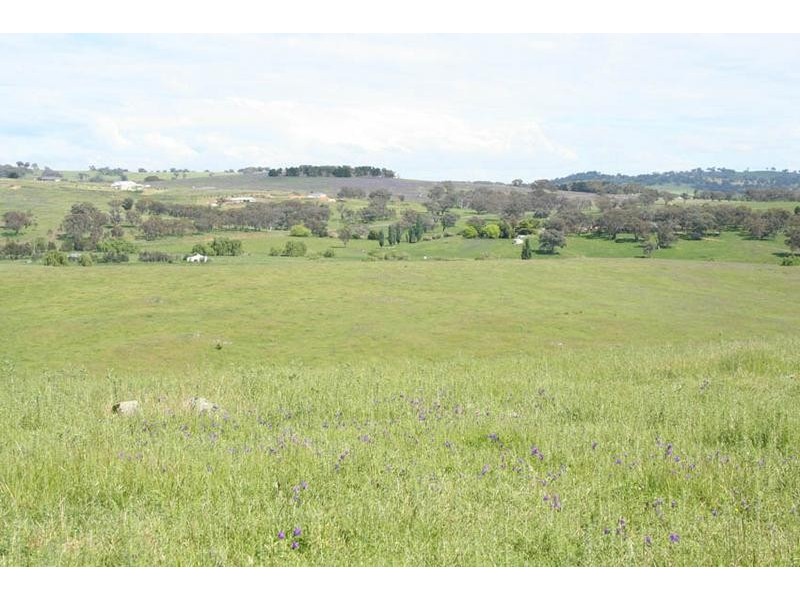 1190 Mitchell Highway, Orange NSW 2800
