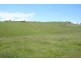 1190 Mitchell Highway, Orange NSW 2800