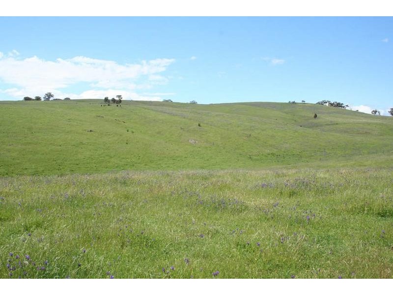 1190 Mitchell Highway, Orange NSW 2800