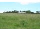 1190 Mitchell Highway, Orange NSW 2800