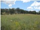 103 Sandy Creek, Molong NSW 2866