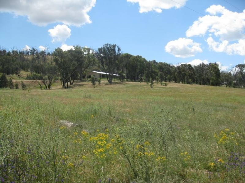 103 Sandy Creek, Molong NSW 2866