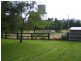 63A Forest Reefs Road, Millthorpe NSW 2798