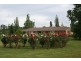 1753 Burrendong Way, Orange NSW 2800