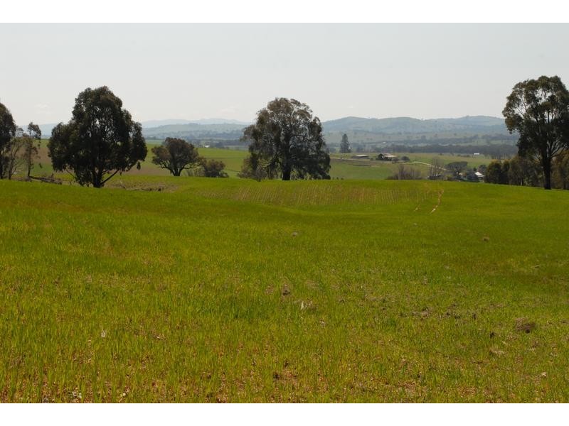 Lot 2,  Millpost Creek Road, Mandurama NSW 2792