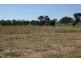 58 Jason Street, Molong NSW 2866